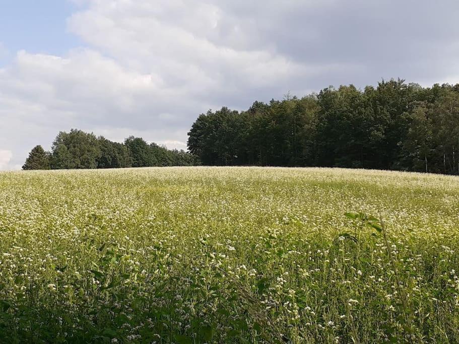 Schoene Und Ruhige Ferienwohnung In Ottendorf 세브니츠 외부 사진